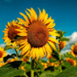 Meet your Posher, Jordyn